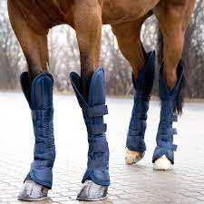 Travels boots for horse